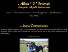 Tablet Screenshot of aileendonovan.com
